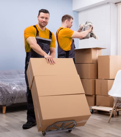 Removals and self storage